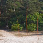 Le chant des dunes, Festival land art de Buthiers © les Fujak 2018