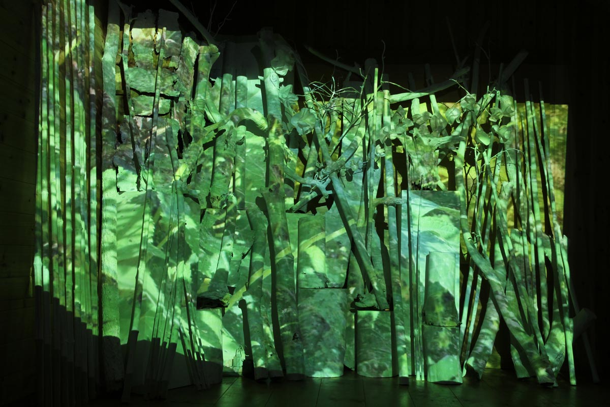 Nature Art Video Installation © Olivier Huet [les Fujak] 2022