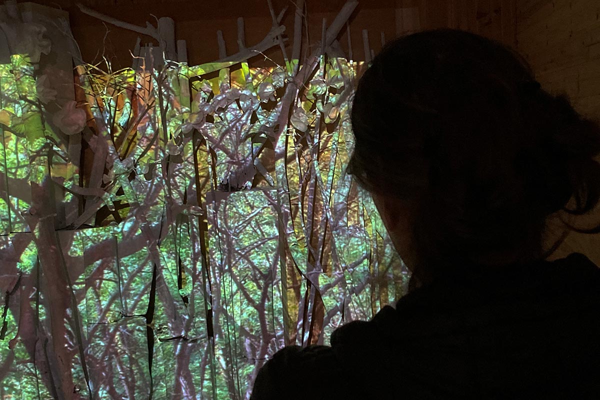 Nature Art Video Installation © Olivier Huet [les Fujak] 2022