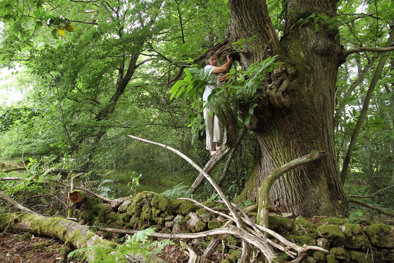 Global Nomadic Art Project, France © les Fujak 2023